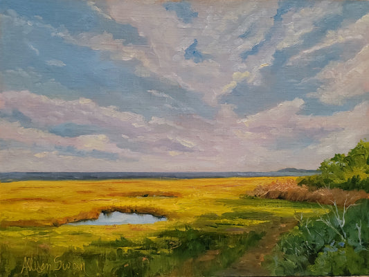 Marsh Shadows