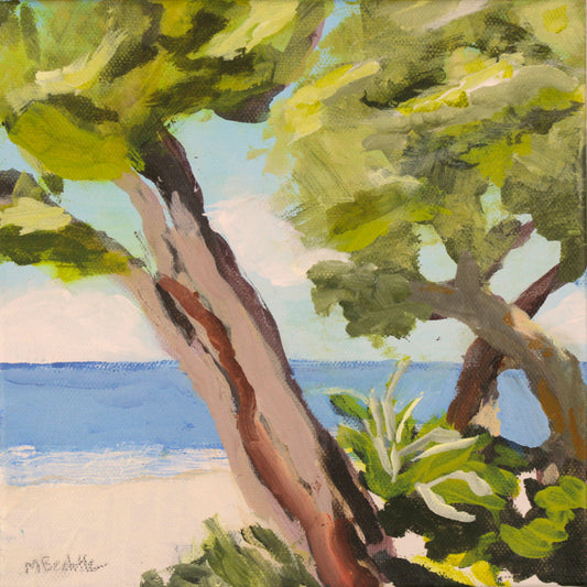 Shade Trees