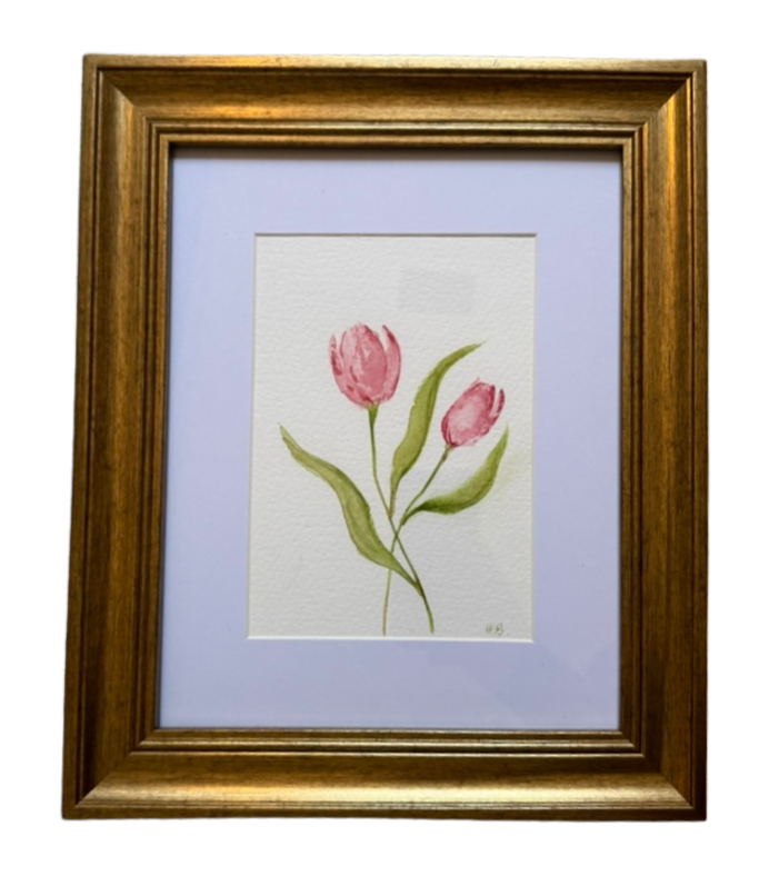 Pink Tulips