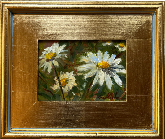 Daisies