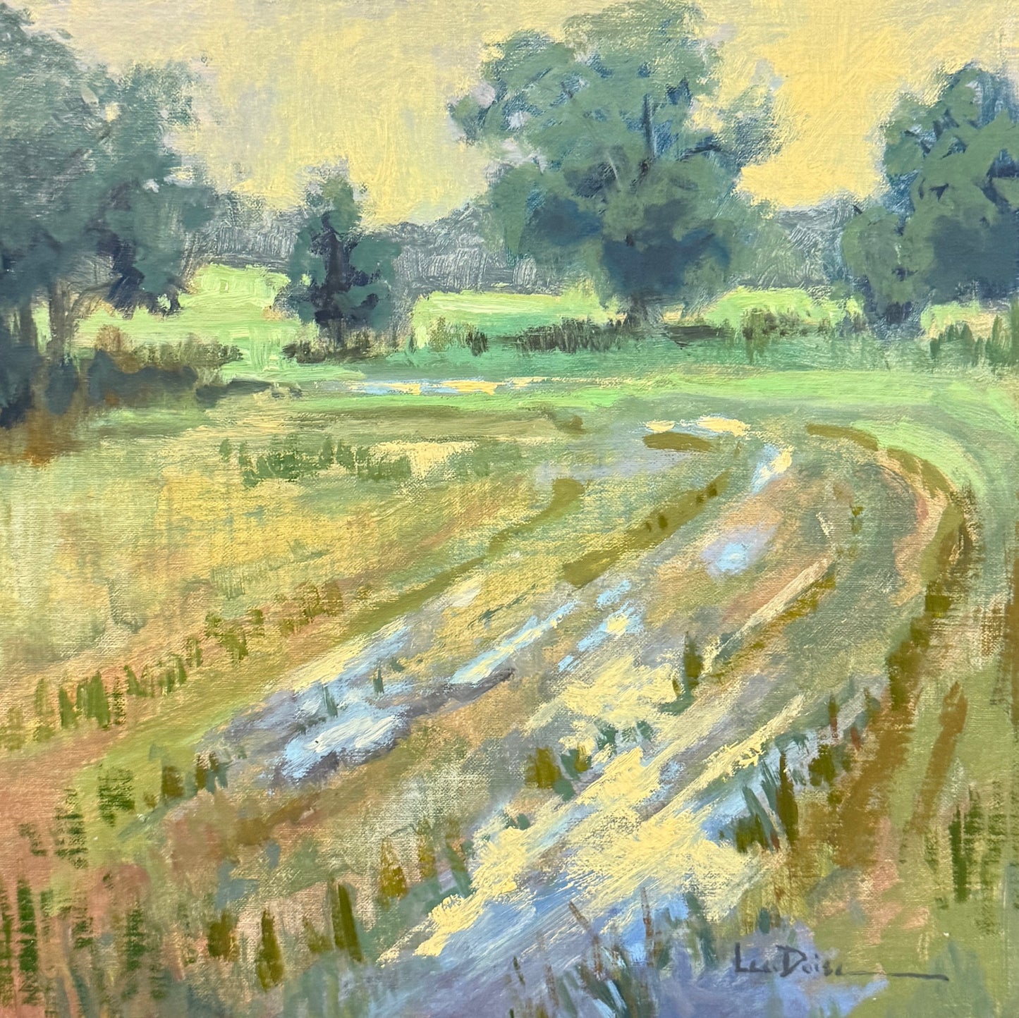 Summer Field Puddles