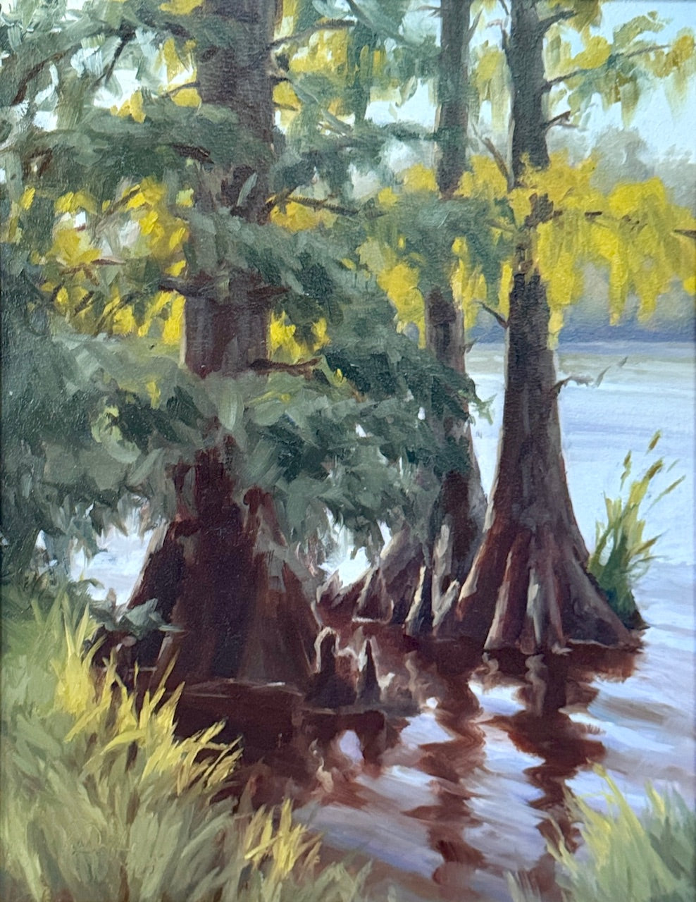 Evening Cypresses