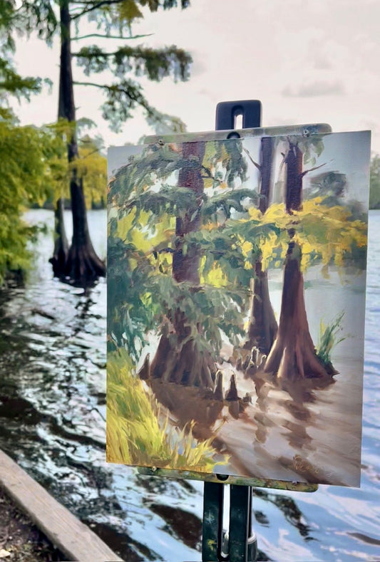 Evening Cypresses