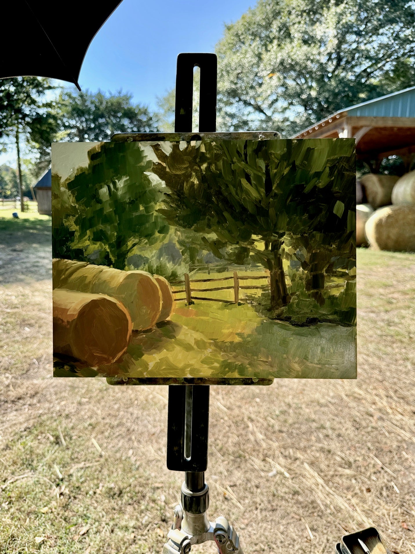 Peace on the Farm