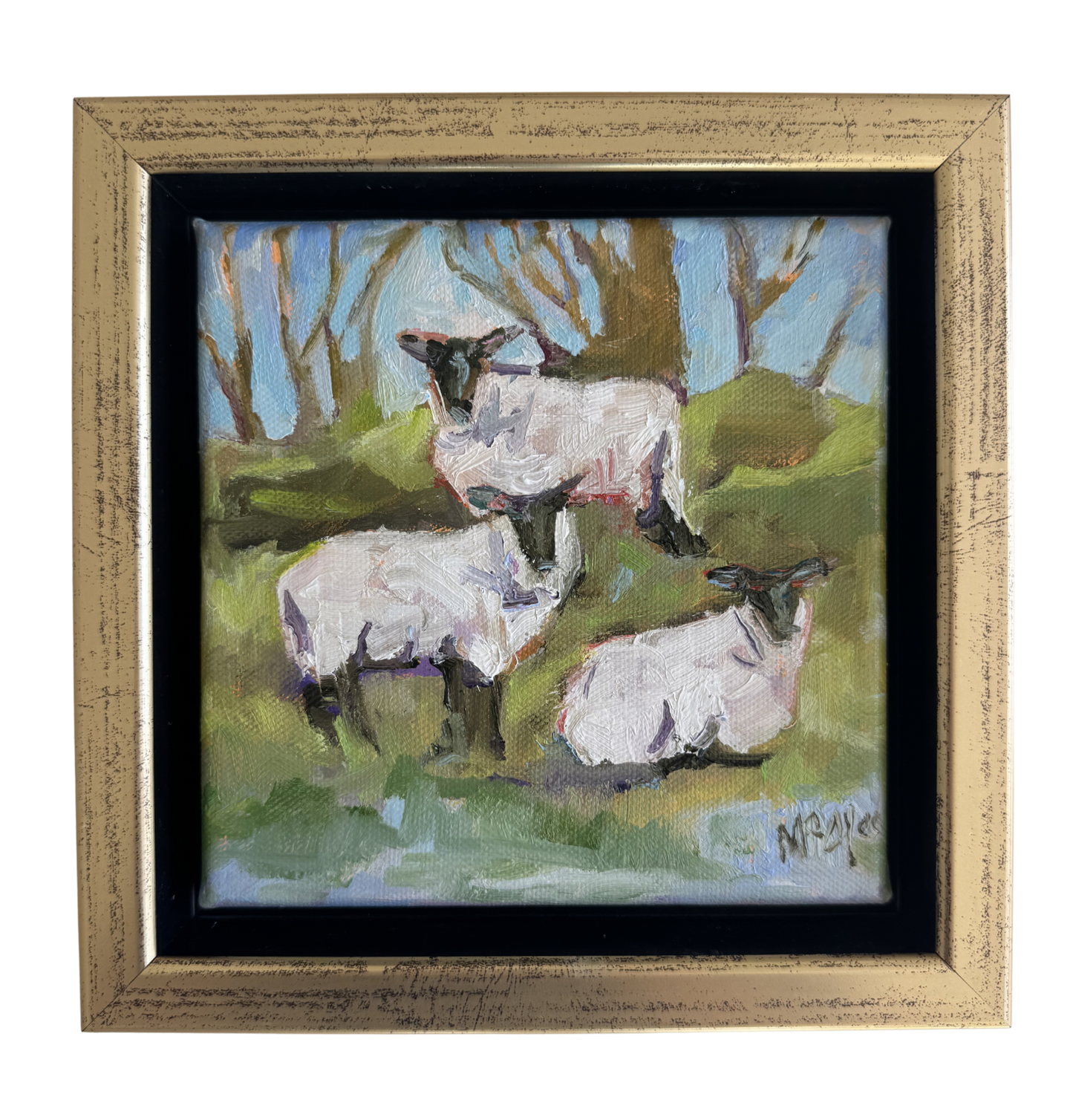 Sheep in the Clover