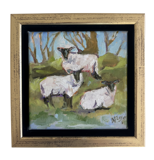 Sheep in the Clover