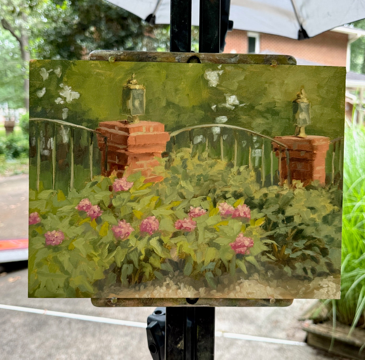 Summer Bloom