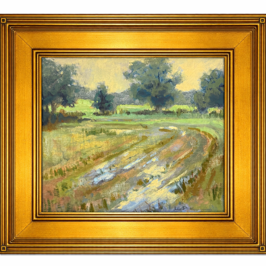 Summer Field Puddles